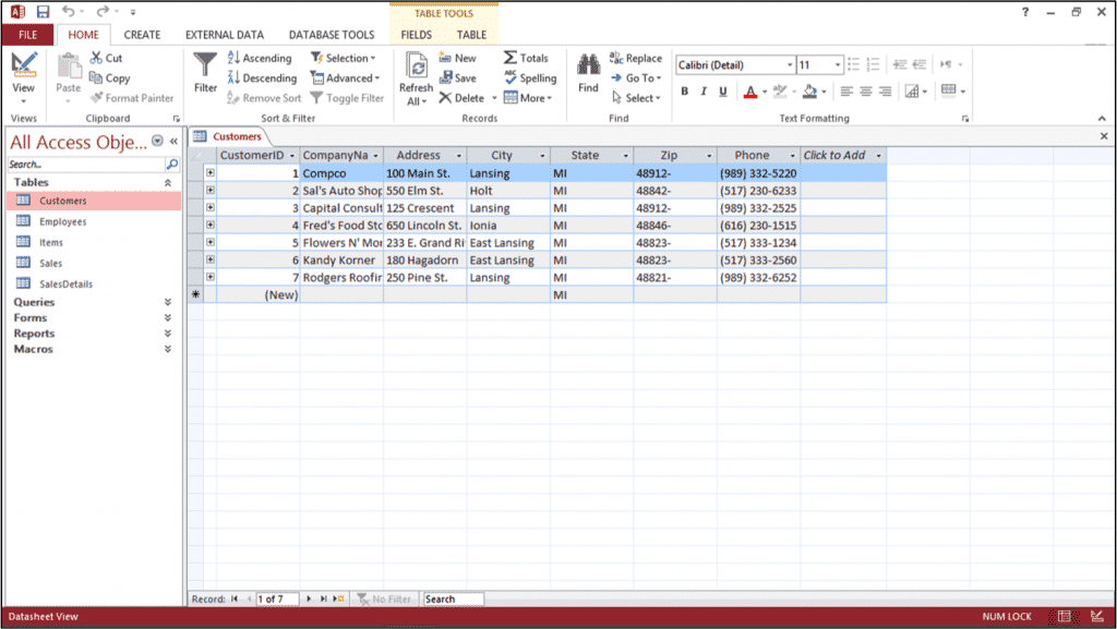 Add Records to a Table in Datasheet View in Access