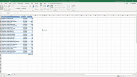 Split Panes in Excel - Instructions and Video Lesson: A picture of a large Excel workbook that is horizontally split into two separate panes.