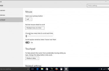 Mouse and Touchpad Settings in Windows 10 - Tutorial: A picture of the mouse and touchpad settings in Windows 10.