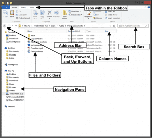 File Explorer in Windows 8.1- Tutorial and Instructions: A picture of the File Explorer in Windows 8.1.
