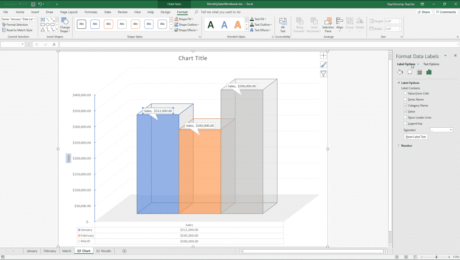 Format Data Labels in Excel- Instructions: A picture of the “Format Data Labels” task pane in Excel.