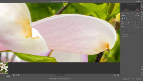 A picture showing how to use the Healing Tool in Camera Raw in Photoshop.