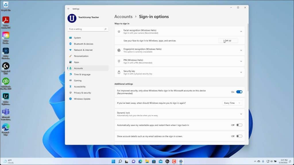 A picture showing the available sign-in options in Windows 11.