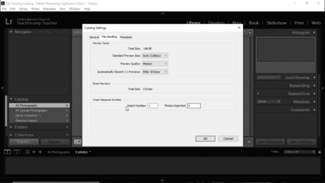 Catalog Settings in Lightroom Classic CC- Instructions: A picture of the “File Handling” catalog settings in Lightroom Classic CC.