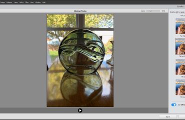 A picture that shows how to create moving photos in Photoshop Elements.