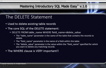 The DELETE Statement in SQL- Tutorial: A picture from the video lesson 