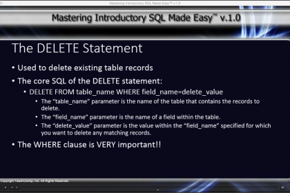 The DELETE Statement in SQL- Tutorial: A picture from the video lesson 