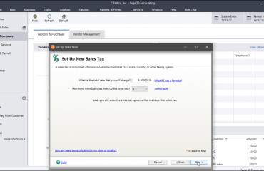 Set Up Sales Tax in Sage 50- Instructions: A picture of a user creating a sales tax within the “Set Up Sales Taxes” window of Sage 50.