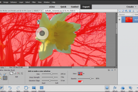 The Refine Selection Brush Tool in Photoshop Elements