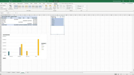 Insert Slicers and Delete Slicers in Excel: A picture of a slicer applied to a PivotTable in Excel.