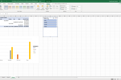 Insert Slicers and Delete Slicers in Excel: A picture of a slicer applied to a PivotTable in Excel.