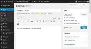 Save a Draft in WordPress - Tutorial: A picture of a user saving a draft of a post in WordPress.