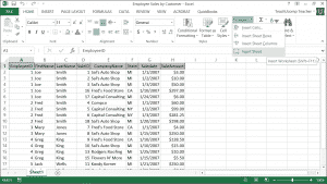 Inserting and Deleting Worksheets in Excel- Tutorial: A picture of a user inserting a new worksheet into an Excel workbook in Excel 2013.