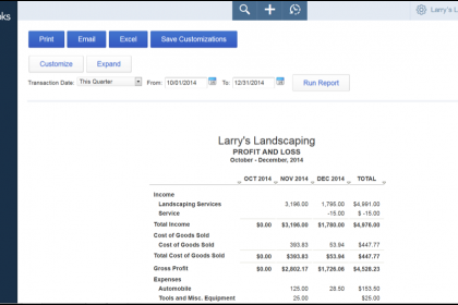 The Profit and Loss Section of the Home Page in QuickBooks Online - Tutorial: A picture of the 