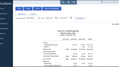 The Profit and Loss Section of the Home Page in QuickBooks Online - Tutorial: A picture of the 