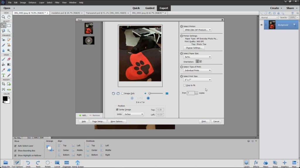 Print Images in Photoshop Elements- Instructions: A picture of the “Print” dialog box in Photoshop Elements.