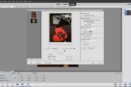 Print Images in Photoshop Elements- Instructions: A picture of the “Print” dialog box in Photoshop Elements.
