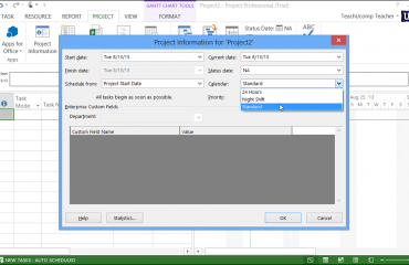Enter Project Information in Microsoft Project - Tutorial: A picture of a user entering project information into the 