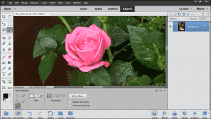 The Auto Selection Tool in Photoshop Elements - Instructions: A picture of a user selecting an object in an image using the Auto Selection Tool in Photoshop Elements.