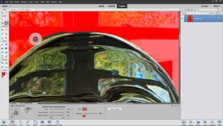 A picture showing how to use the Refine Selection Brush Tool in Photoshop Elements to add pixels to a selection.
