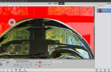A picture showing how to use the Refine Selection Brush Tool in Photoshop Elements to add pixels to a selection.