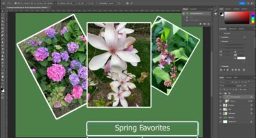 A picture of a Photoshop document that contains examples of both raster image data, in the flower photos, and vector image data, in the accompanying text.