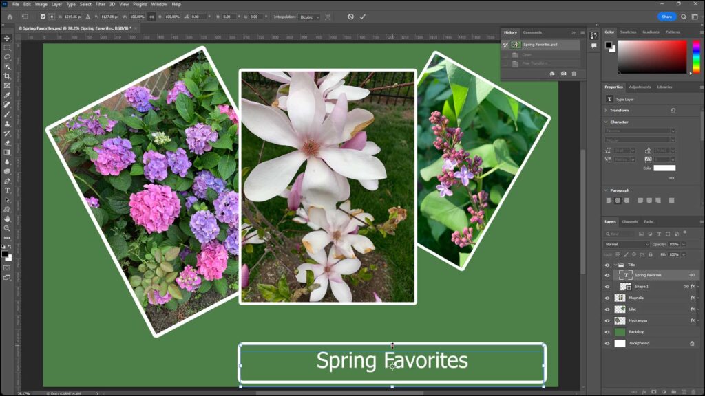 A picture of a Photoshop document that contains examples of both raster image data, in the flower photos, and vector image data, in the accompanying text.