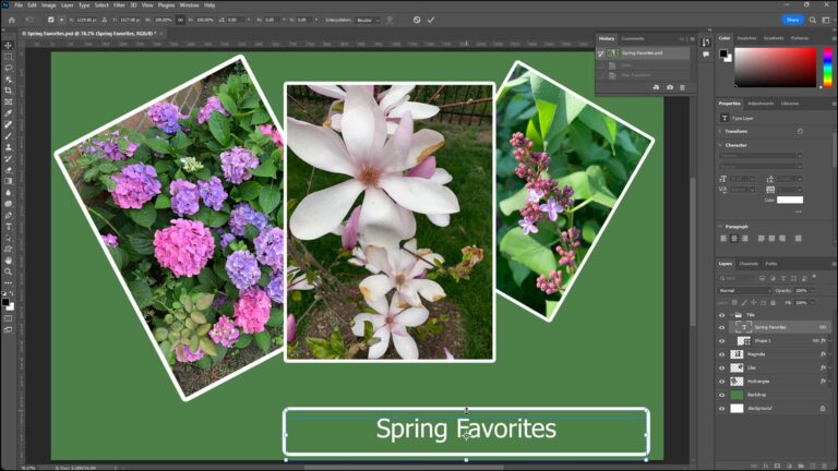 Raster and Vector Image Data in Photoshop
