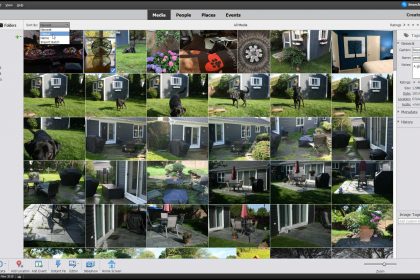 A picture showing how to sort images in the Organizer in Photoshop Elements.