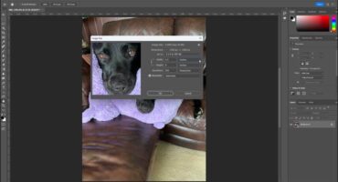 A picture showing how to change the size of an image in Photoshop using the “Image Size” dialog box.
