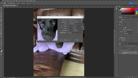 A picture showing how to change the size of an image in Photoshop using the “Image Size” dialog box.