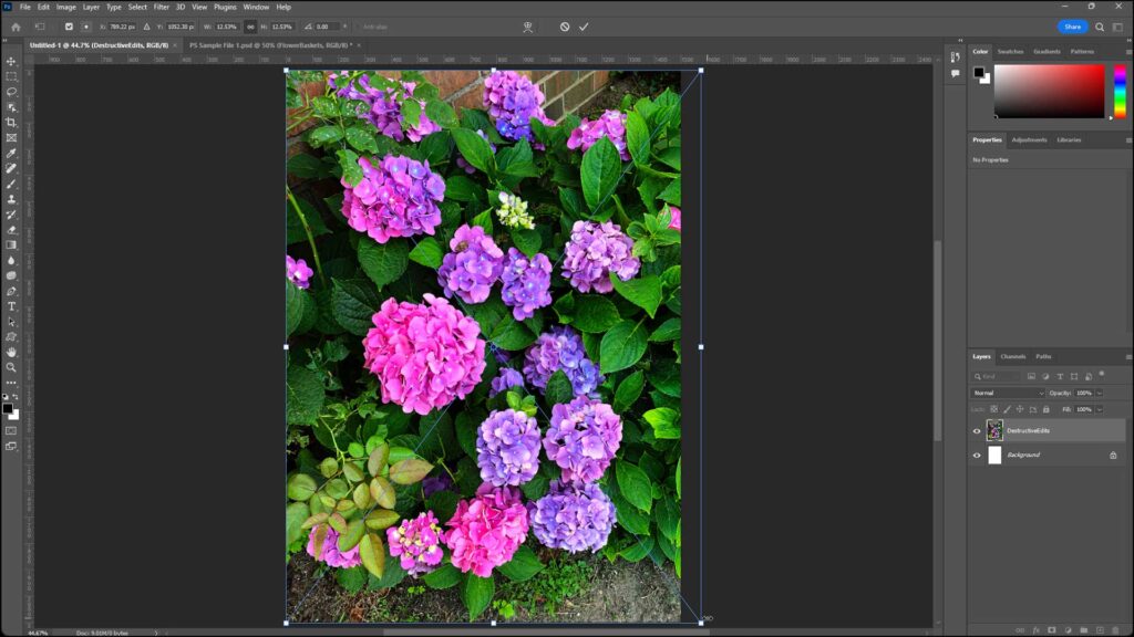 A picture of a user applying transforms to a placed file after using the "Place Embedded" command in Photoshop but before finalizing the file placement in the Photoshop document.