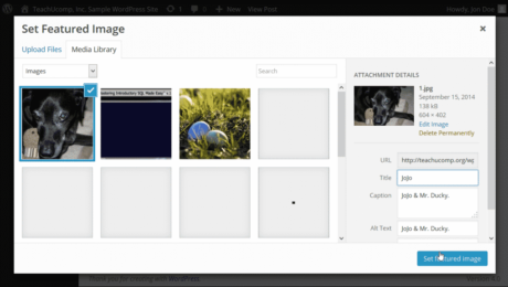 Featured Image in WordPress - Tutorial: A picture of a user adding a selected image as a featured image to a post in WordPress.
