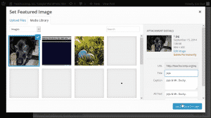 Featured Image in WordPress - Tutorial: A picture of a user adding a selected image as a featured image to a post in WordPress.