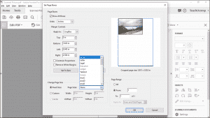 Crop Pages in Adobe Acrobat - Instructions: A picture of the page cropping options in the “Set Page Boxes” dialog box within Acrobat Pro DC.