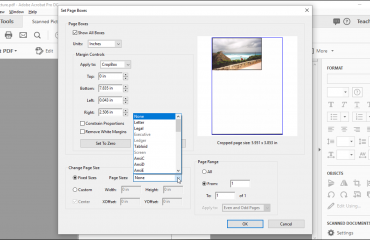 Crop Pages in Adobe Acrobat - Instructions: A picture of the page cropping options in the “Set Page Boxes” dialog box within Acrobat Pro DC.