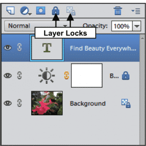 Lock Layers in Photoshop Elements- Tutorial: A picture of the layer locking buttons within the "Layers" panel in Photoshop Elements.