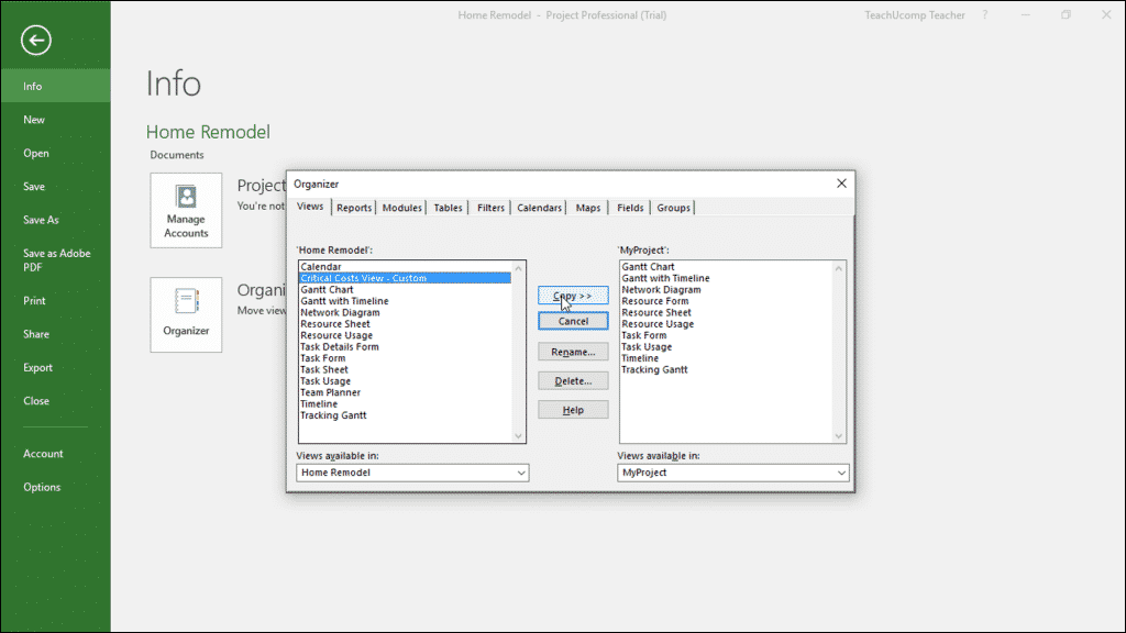 The Organizer in Microsoft Project – Instructions: A picture of the “Organizer” dialog box in Microsoft Project.