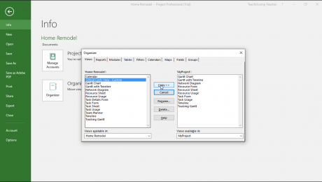 The Organizer in Microsoft Project – Instructions: A picture of the “Organizer” dialog box in Microsoft Project.