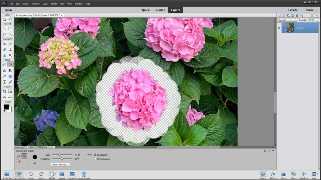 Remove a Background Using Photoshop Elements