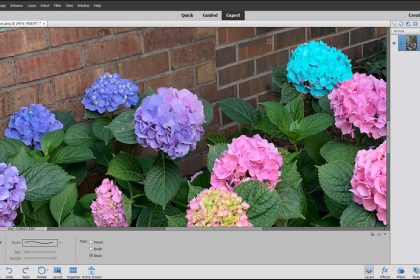 A picture of a user applying the background color by using the Eraser Tool in Photoshop Elements.