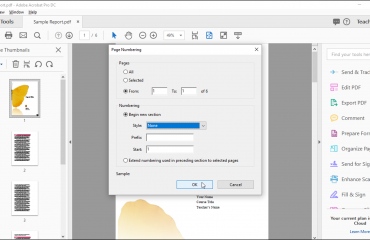 Change Page Numbers in Acrobat - Instructions: A picture of the “Page Numbering” dialog box in Acrobat Pro DC.