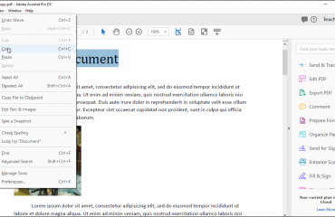 Select and Copy Text and Graphics in Acrobat – Instructions: A picture of a user copying selected text within a PDF in Acrobat Pro DC.