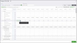 A picture showing how to enter budget data after you create a budget in QuickBooks Online.