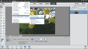 Remove Color in Photoshop Elements - Tutorial: A picture of a user removing color from an image in Photoshop Elements 13.