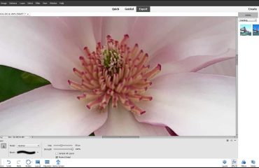 Blur or Sharpen Images in Photoshop Elements: A picture of a user blurring photo details by using the Blur Tool in Photoshop Elements.