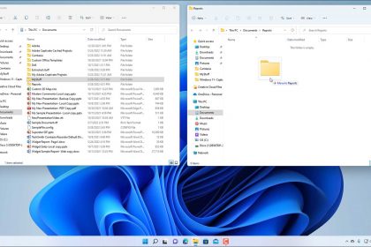 A picture showing how to cut, copy, and paste files and folders in Windows 11 by dragging and dropping them between File Explorer windows.