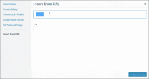 Add an Image from a URL in WordPress - Tutorial: A picture of a user inserting an image into a page using the "Insert from URL" feature in WordPress.