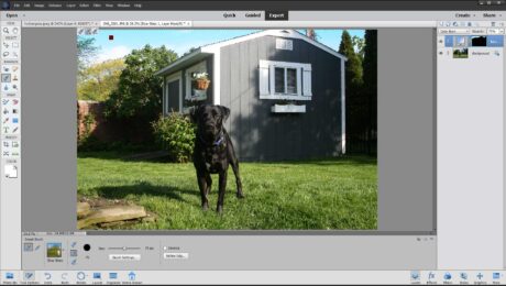 Smart Brush Tools in Photoshop Elements - Instructions: A user applying a preset effect using the Smart Brush Tool in Photoshop Elements.