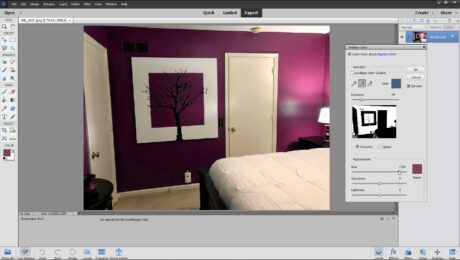 A picture showing how to replace color in Photoshop Elements by using the “Replace Color” dialog box.